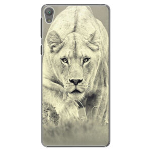 Plastové puzdro iSaprio - Lioness 01 - Sony Xperia E5