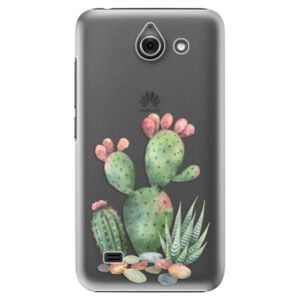 Plastové puzdro iSaprio - Cacti 01 - Huawei Ascend Y550