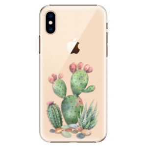 Plastové puzdro iSaprio - Cacti 01 - iPhone XS